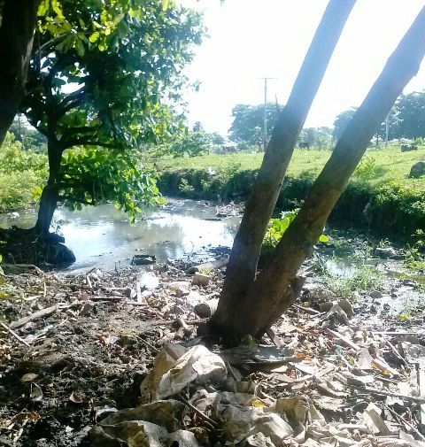 Cañada Repleta De Agua Maloliente Y Basura Amenaza Salud Moradores En ...